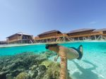 Anantara Kihavah vs Milaidhoo Guide: Explore Luxury Resorts, Compare Features, and Learn Key Differences
