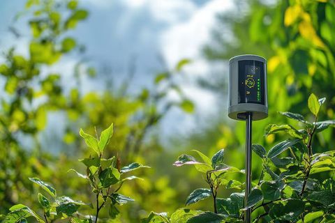 Carbon Emission Sensors Explained: Emissions Monitoring Technologies, Detection Systems, Manufacturers, Suppliers and Industrial Applications