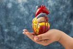 Heart Consultation Guide: Explore Heart Health Tips, Cardiology Insights, and Preventive Care Basics