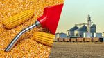Discover Ethanol Production and Uses: Complete Guide, Insights, Explanation, Details, Information, Tips, and Helpful Resources