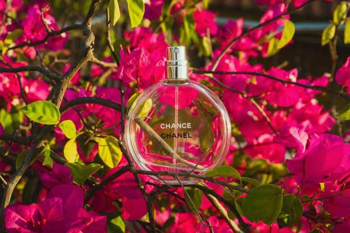 Gucci Flora Perfume Guide: Fragrance Notes, Collection Overview, and Luxury Perfume Insights