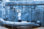 Industrial Ice Cream Manufacturing Unit: Process, Equipment, Cost, Facts and Quality Standards