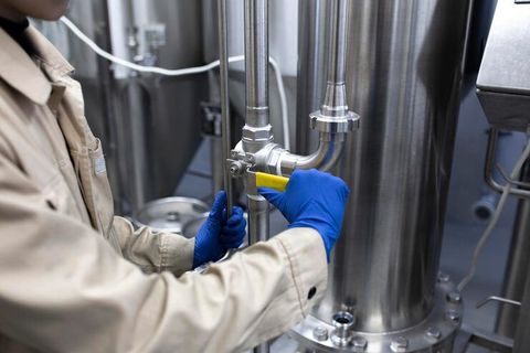 Optical Food Sorting Technology Explained: Modern Methods & Benefits