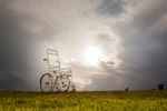 Explore Paralysis Symptoms: A Guide to Signs, Fact, and Essential Information