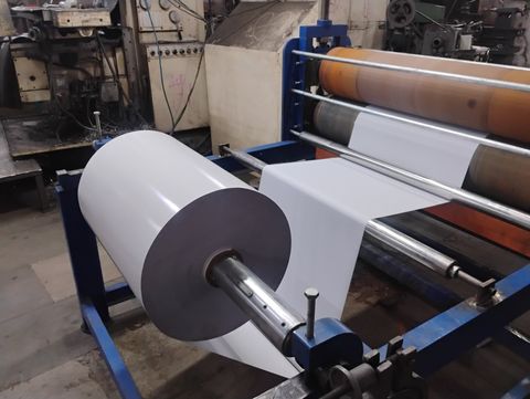 Discover Pet Food Choices: Facts, Explanation, and Smart Suggestions