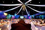 Luxury Private Event Yards Guide: Layouts, Amenities & Outdoor Event Ideas