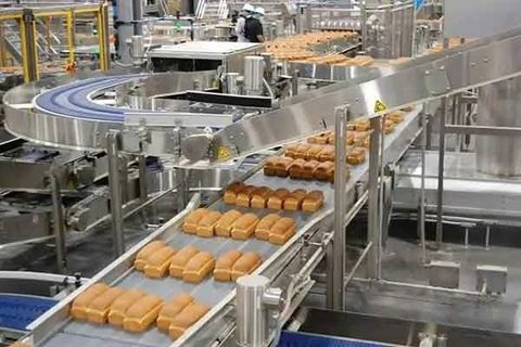 Freeze Drying Machines Explained: Essential Facts & Modern Applications