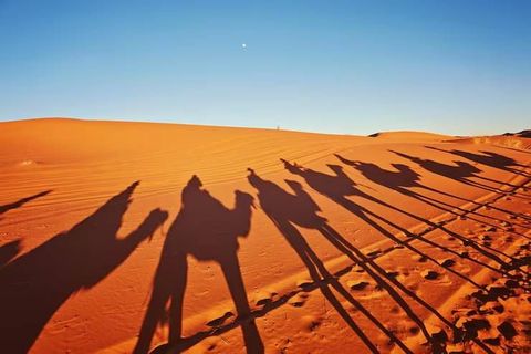 Dubai Desert Safari: Travel Guide, Safety Rules and Tips