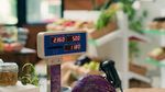 Check Weighing Machines Explained: Weighing Technologies, Automation Systems, Manufacturers, Suppliers and Industrial Applications