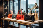 Luxury Handbags Guide: Explore Basics, Tips, Insights, and Buying Advice for Beginners