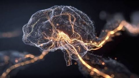 Advanced CT Scanner Machines: Technology, Performance, and Healthcare Industry Insights