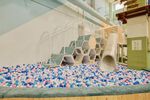 Beierrecycling Plastic Pelletizing Machine Insights