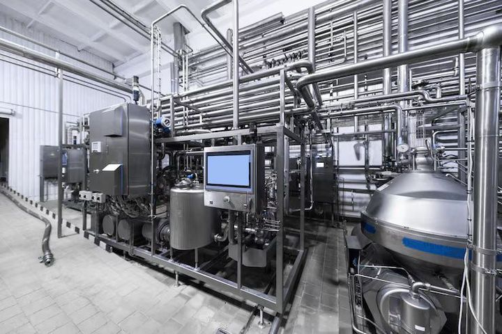 Food Grade Conveyor Systems Explained: Essential Facts to Know