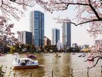 Tripadvisor Guide to Travel Reviews and Trip Organization